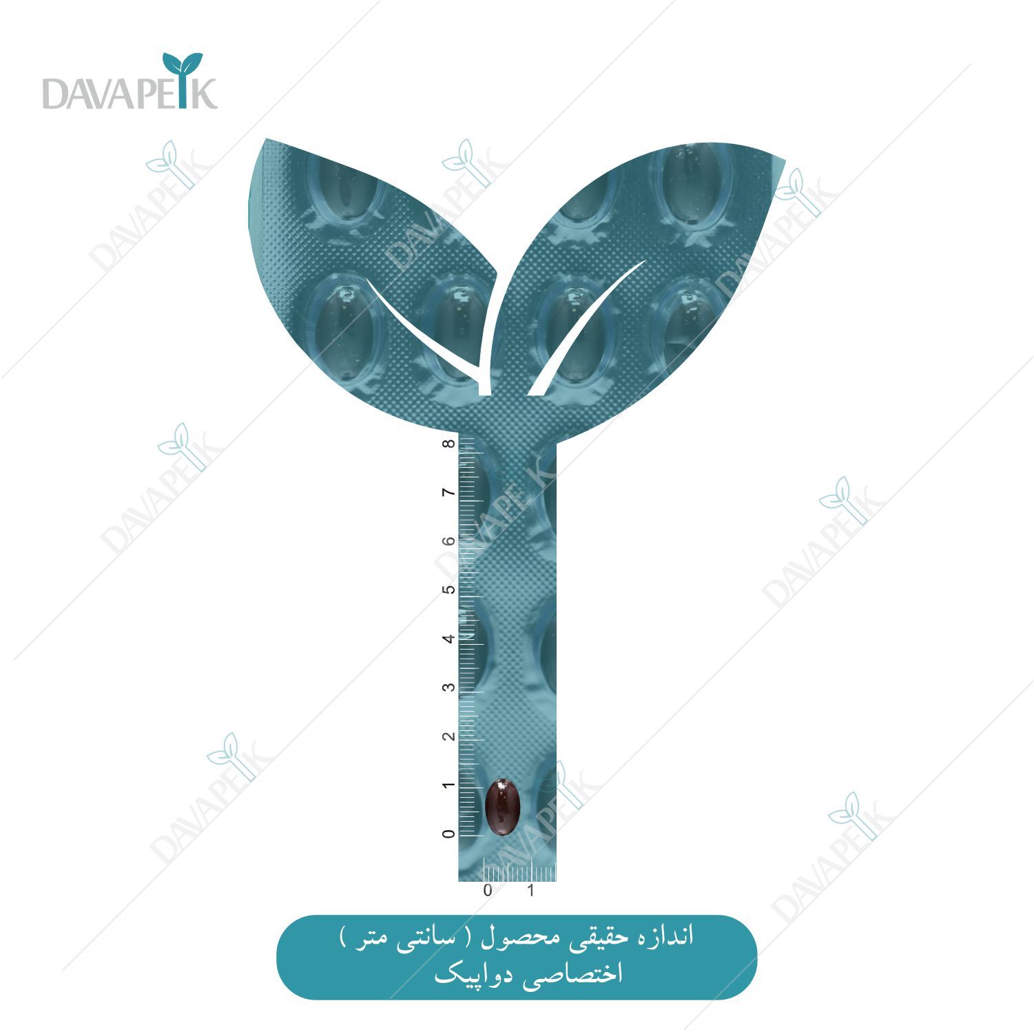  سایز هر سافت ژل زینک پلاس استار ویت 