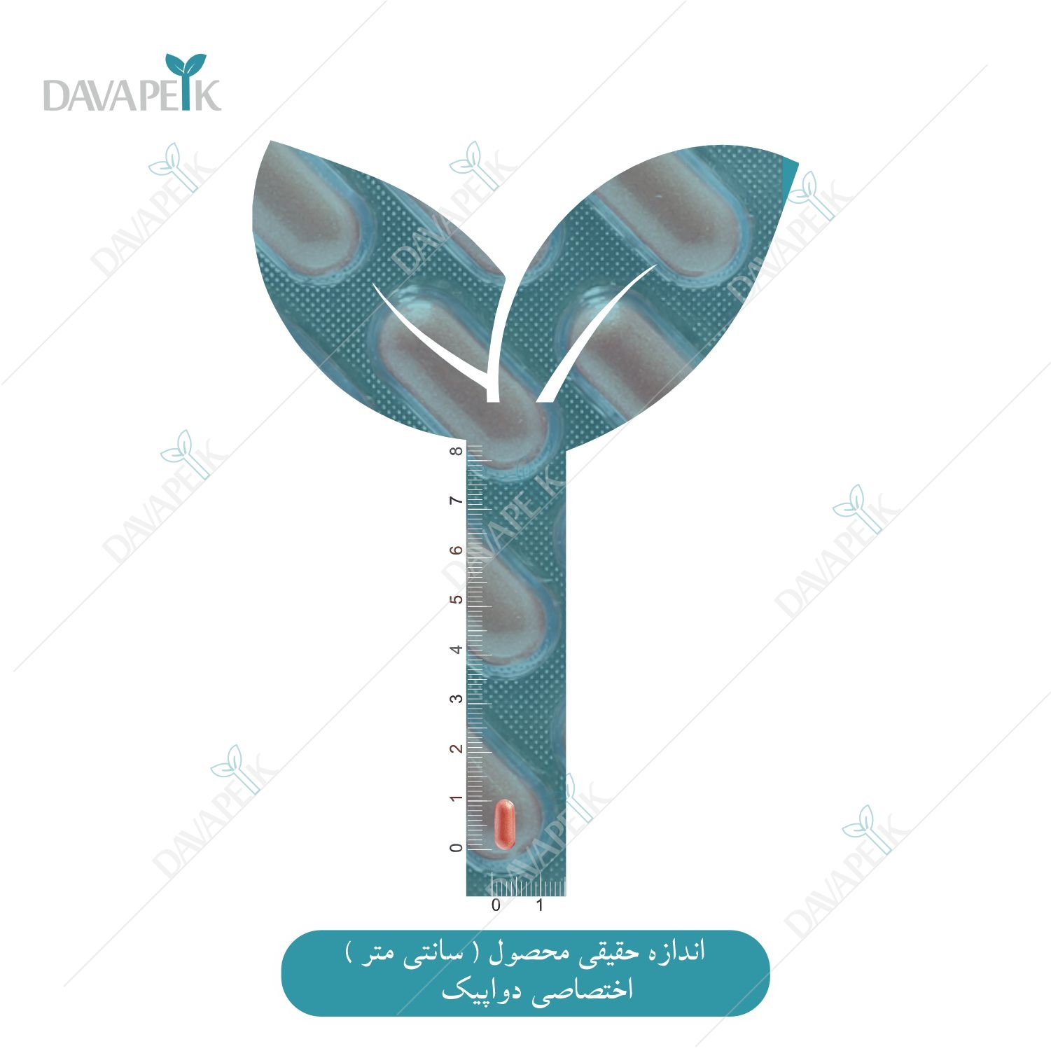  نمای اندازه قرص ویگر پلاس خانم ها 