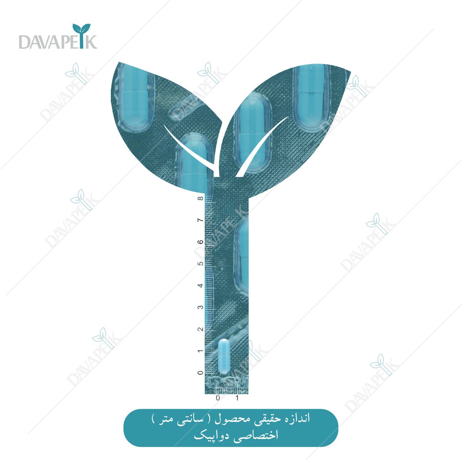 اندازه کپسول کویتن پلاس سلنیوم