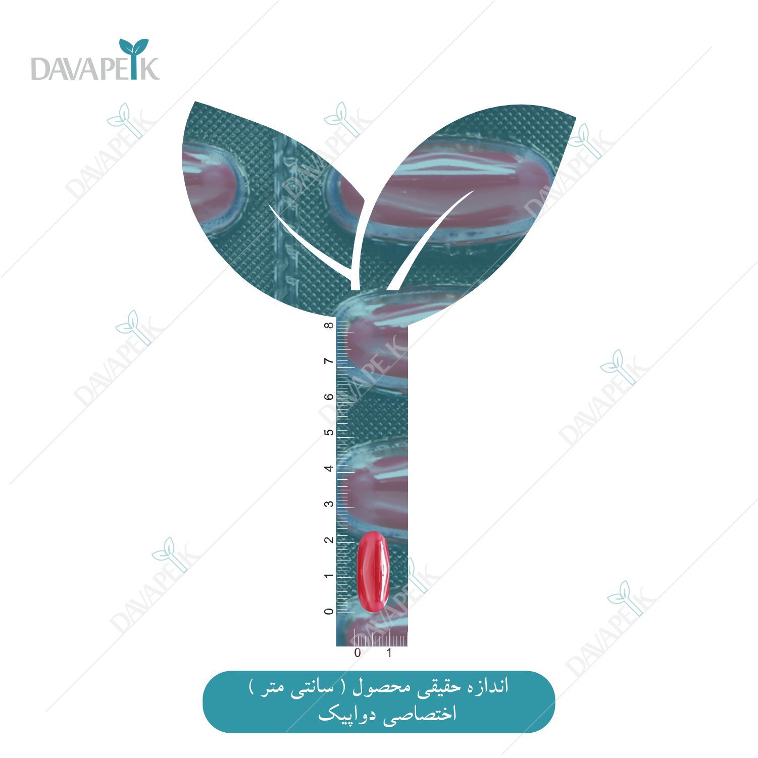 نمای اندازه سافت ژل امگا خانم ها زراوش