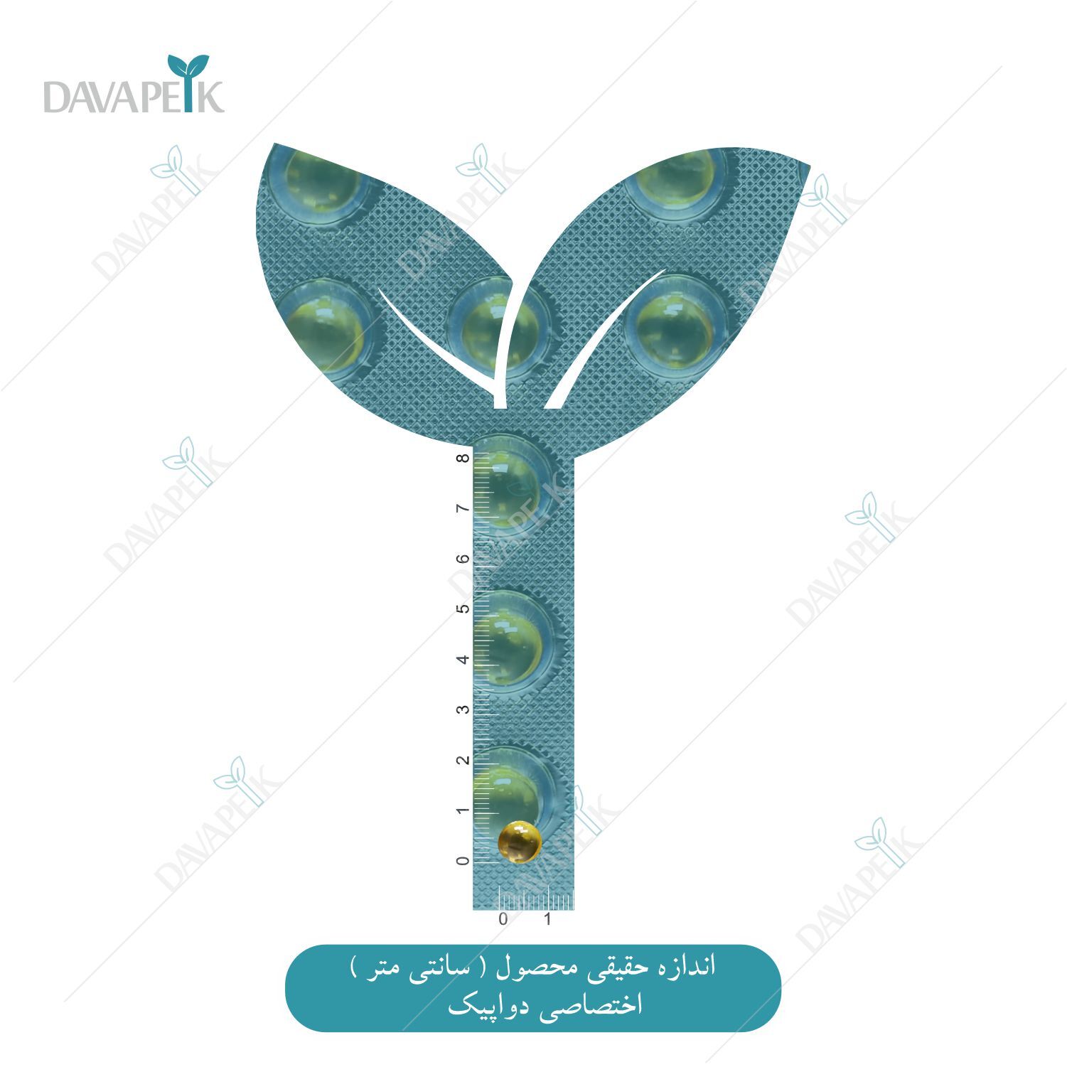 نمای کپسول ژله ای رنوتینکس کارنیک دارو