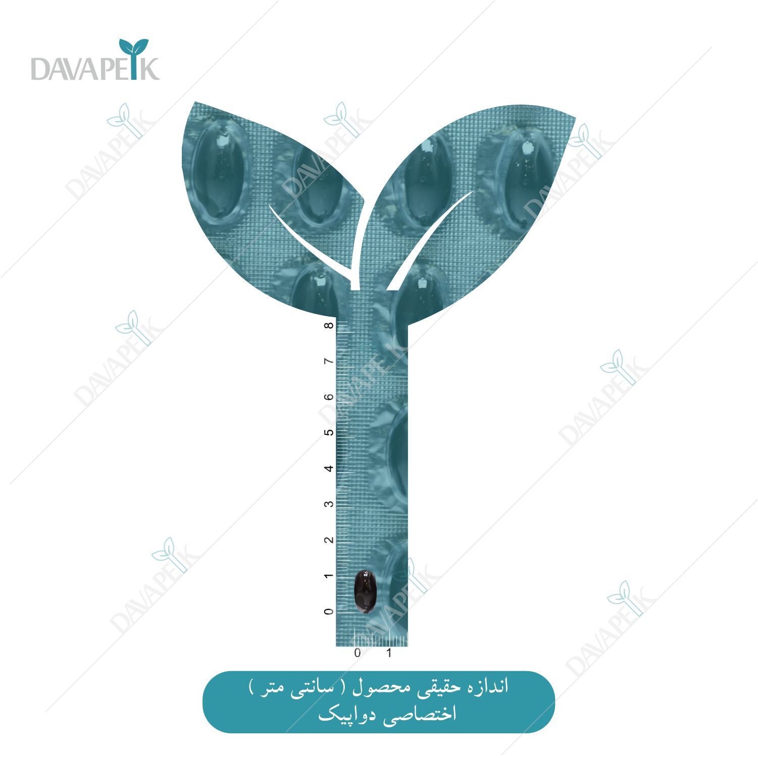 نمای اندازه کپسول سلن پلاس