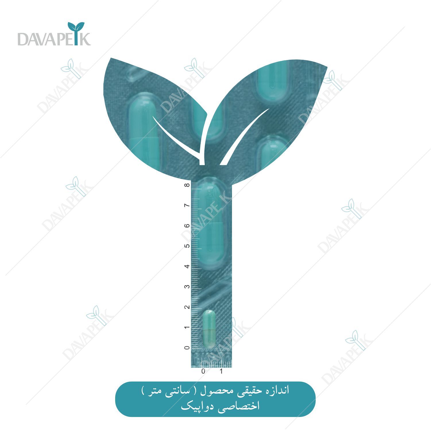  مشاهده اندازه کپسول دتوکس 