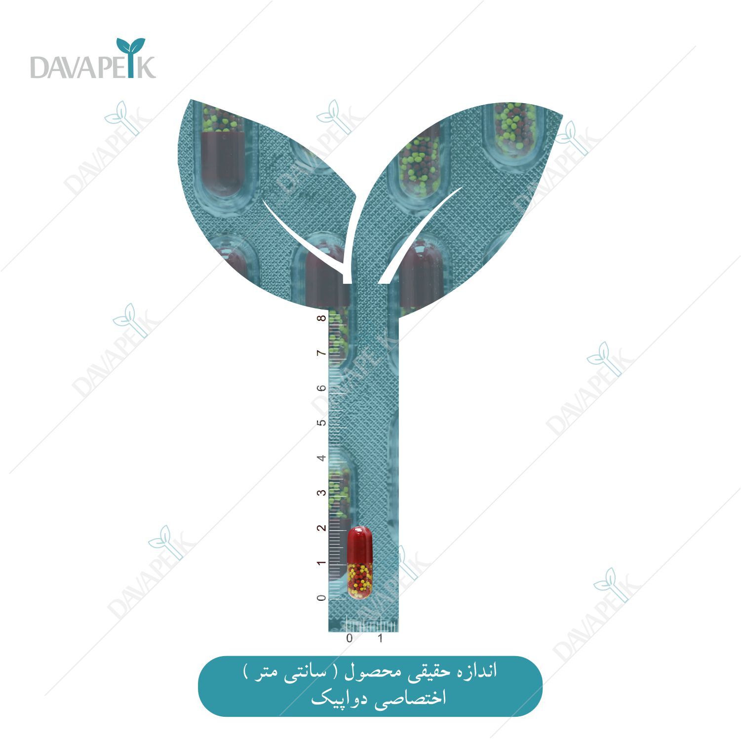  اندازه کپسول آهن هموزوم 