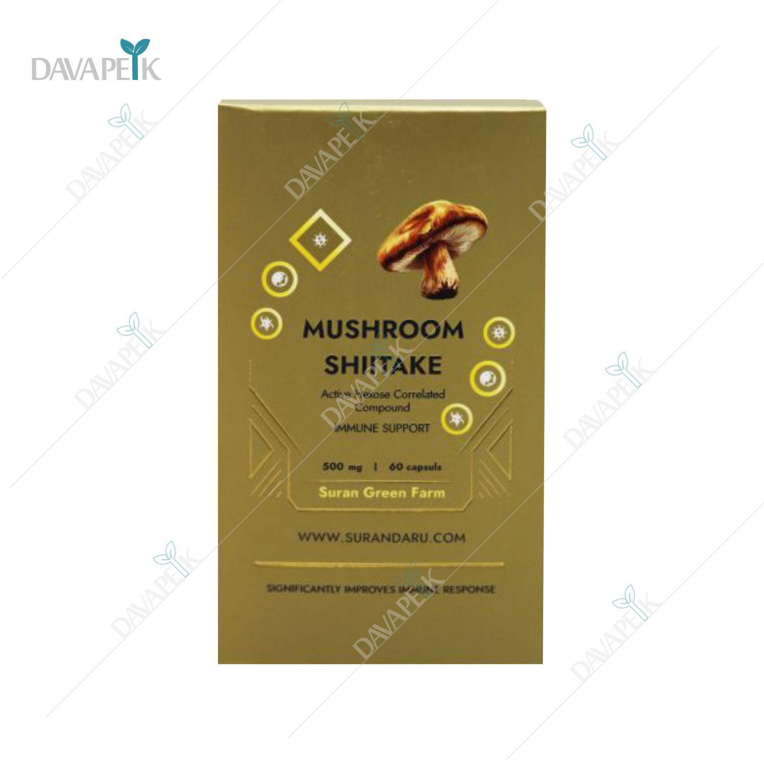 قارچ شیتاکه مزرعه سبز سوران