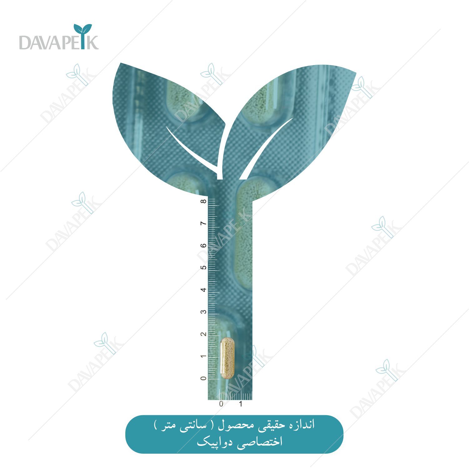 نمای اندازه کپسول ایسیوم