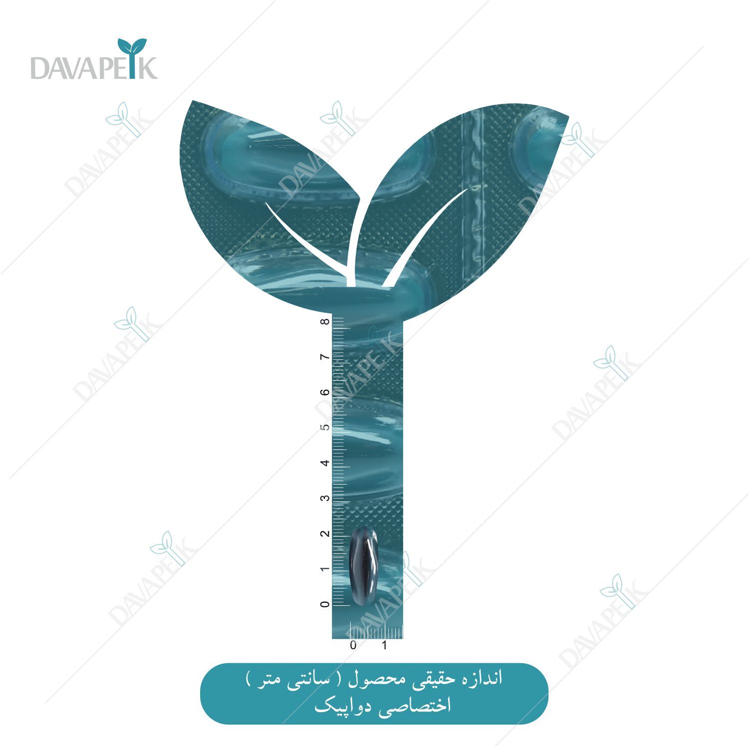 نمای اندازه کپسول امگا مردانه زراوش